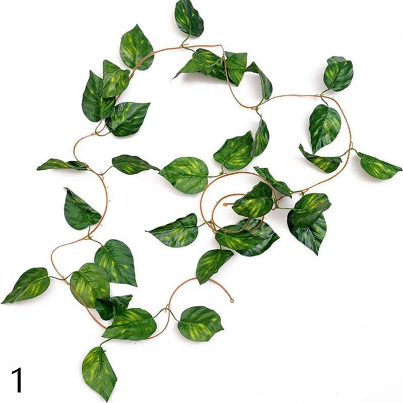 Flower Rattan Evergreen